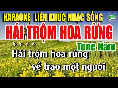 Karaoke Liên Khúc Trữ Tình Tone Nam Dễ Hát | Tuyển Chọn Nhạc Xưa Bolero – HÁI TRỘM HOA RỪNG