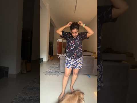 #48 SIMBA ki grooming ๐ฅ#shorts #minivlog #ashortaday #goldenretriever