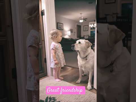 Friendship that Lives Forever ♥️🌹. #friends #friendship #labrador #dog #lover #hug . Credit @ the