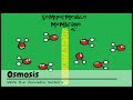 Understanding Osmosis