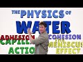 Understanding the Physics of Water