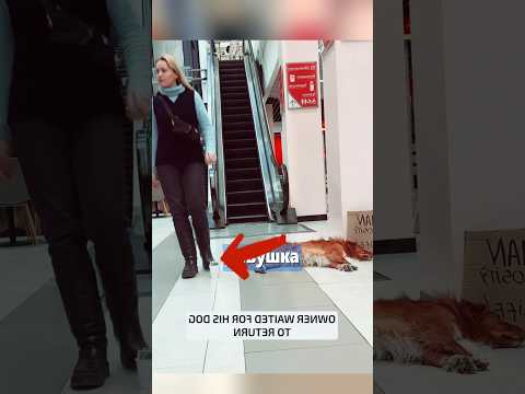 🤯 НИКТО НЕ ОЖИДАЛ куда пойдет эта собака
