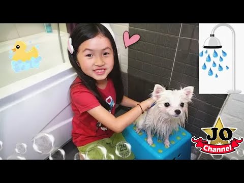 第一次幫狗狗小花洗澡（日常）Joyann能順利完成嗎？Joyann Bath A Puppy At Home By Jo Vlog