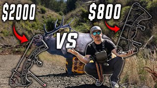CHEAP VS EXPENSIVE Elk Hunting Bows (Are they worth it?)