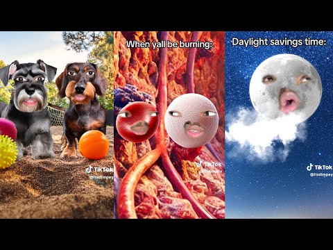 *1 HOUR* Dimpey6 Funny Shorts Videos 2024 | Dimpey6 New Videos Compilation