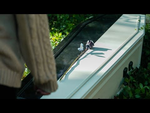 Memento Mori