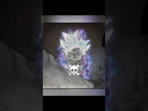 ☠️CAT EDITION☠️(PART 2)(WHEN YOUR CAT HAS MAIN CHARACTER ENERGY)#edit #cats #anime #aura #cat #cool