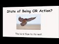 State of Being and Action Verbs