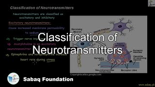 Classification of Neurotransmitters