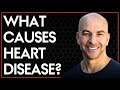 Understanding Atherosclerosis and Cardiovascular Health