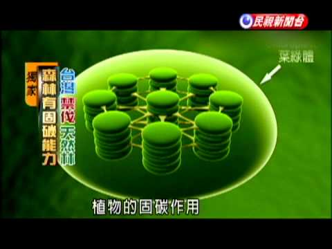 奇妙的植物固碳作用 提供清新空氣-民視新聞 - YouTube