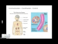 Functions and Structures in Biology