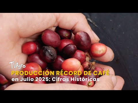 YouTube video thumbnail: Record Coffee Production in July 2025: Historical Figures