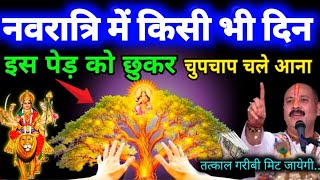 नवरात्रि में किसी भी दिन इस पेड़ को छूकर आ जाना उसी टाइम गरीबी मिट जाएगा, आगे आपके मर्जी Navratri