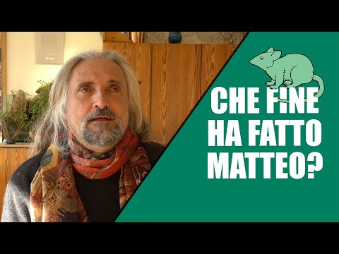 Che fine ha fatto Matteo?