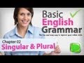 Exploring Singular and Plural Nouns in English