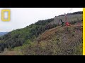 Deforestation and Its Impact