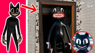 5 CARTOON CAT  EXE Captados y Vistos en la Vida Real