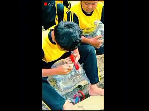 Membuat Pot dari Galon fasil Ibu Ratna