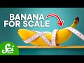 Understanding Unusual Units of Measurement