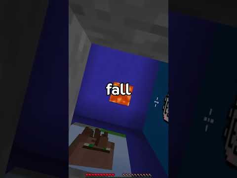 If Saving Your Minecraft Pet Was a Choice (But I Have 999+ iq)