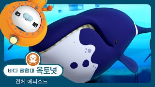 바다 탐험대 옥토넛 - 🌊 북극고래 구조 대작전 🐋 - 모음집