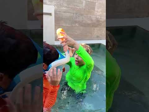 Tem um tubarão na piscina