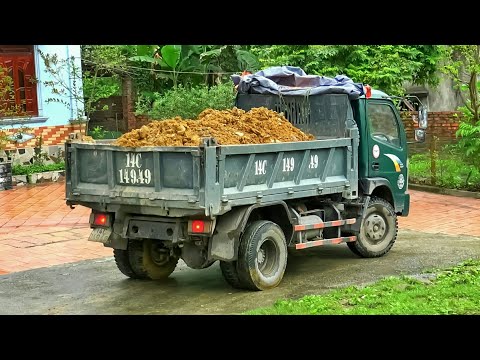 Xe Ô Tô Tải Ben Chở Đất Bị Sa Lầy, Máy Xúc Doosan Làm Việc | Excavator Truck | TienTube TV