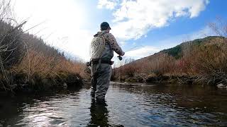 NNA STATE HIGHWAY 31 Irwin, Idaho | Engel & Volkers Jackson Hole Real Estate Commercial