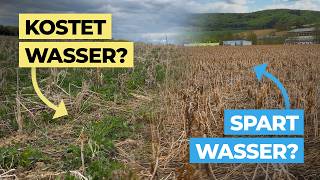 Wieviel Wasser kostet dich die Zwischenfrucht?
