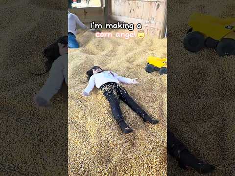 ๐ Pumpkin Farm Fun Adventure ๐ฝ #pumpkinpatch #cornmaze #fallactivities #halloween