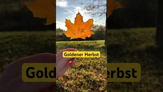 Golden autumn