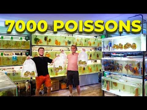 On va chercher les 65 premiers POISSONS du 14000L dans une ferme de Discus !