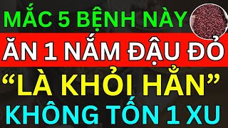 Bác Sĩ Mách Bạn Mắc 5 Bệnh Này. CỨ ĂN 1 NẮM ĐẬU ĐỎ "Là Khỏi Hẳn" Không Tốn 1 Xu, GAN THẬN SẠCH KHOẺ