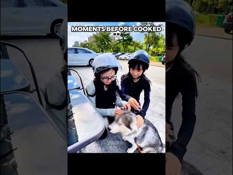 Slow it down 💀 #trollface #edit