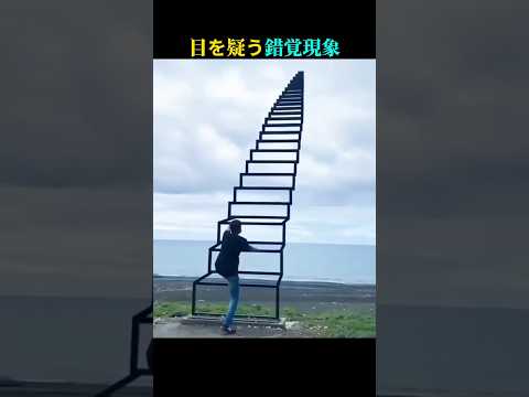 見えているのに実は違う！目の錯覚で驚きの世界