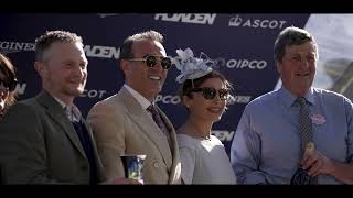 Dentakay at Ascot | Official Sponsor of the Novices Handicap Hurdle