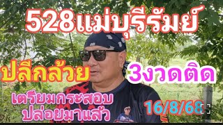 528 แม่บุรีรัมย์ เลขปลีกล้วย 3 งวดติด เตรียมกระสอบไว้ด่วน ปล่อยแล้วงวดนี้