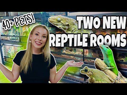 REPTILE ROOM TOUR 2023!! NEW PET ROOMS