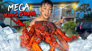 Bagong Alagang GIANT KING CRAB sa BG House