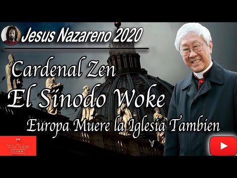 PAPA FRANCISCO, CARDENAL ZEN HALA SOBRE LA MUERTE DE EUROPA Y EL SINOD WOKE QUITAR A DIOS