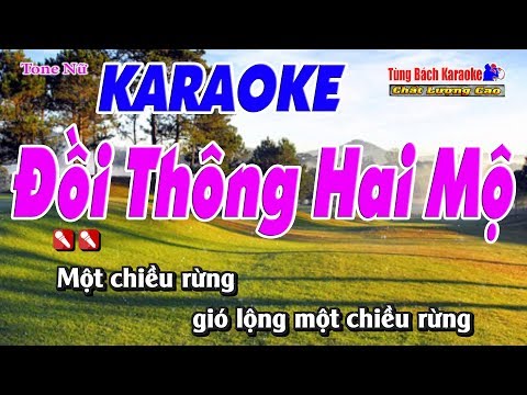 Đồi Thông Hai Mộ Karaoke 123 HD (Tone Nữ) – Nhạc Sống Tùng Bách