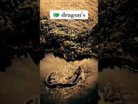 ancient dragon 🐲Still alive on earth, hidden from humans viral short #shorts viral#viral video