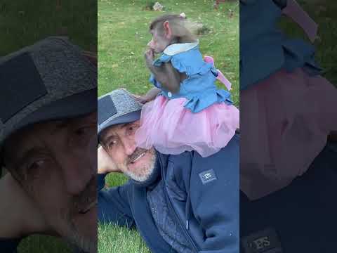 #shorts ЗВЕЗДА по имени Люська отдыхает ПО-БОГАТОМУ)))