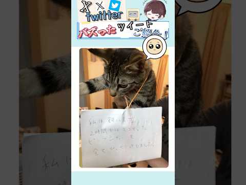 【反省してま〜す】バズりすぎた伝説のツイート集! Part 67 #だいちゃんねる