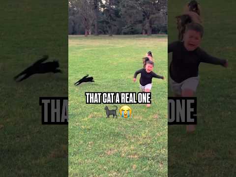 That’s real cat #cat #shorts