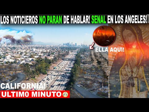 EN LOS ÁNGELES, CALIFORNIA, LOS NOTICIEROS NO PARAN de hablar, SEÑAL del CIELO con LA GUADALUPANA!