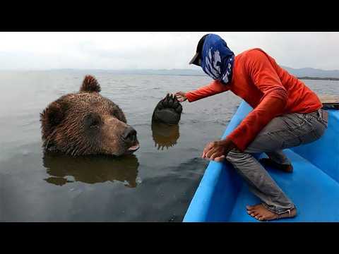 Animals That ASKED People For Help & Kindness! 2025