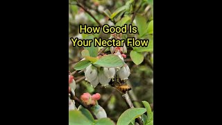 How Good Is Your Nectar Flow?