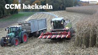 Urgestein pfückt Mais - CCM häckseln mit Claas Jaguar 870 und Olimac Pflücker - SOUND - LU Bücherl